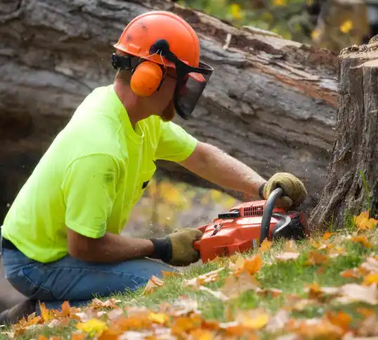 tree services Jenkins